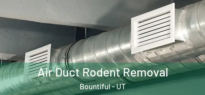  Air Duct Rodent Removal Bountiful - UT