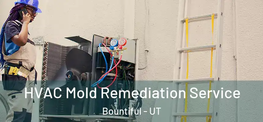  HVAC Mold Remediation Service Bountiful - UT