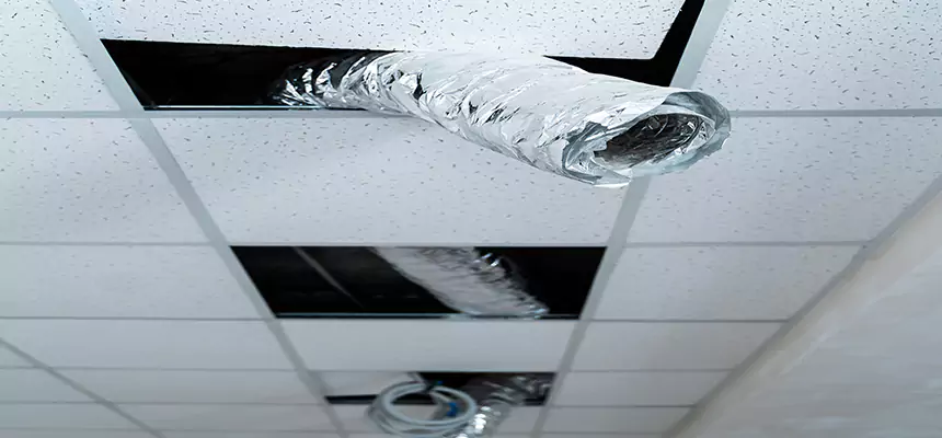 Our Air Duct Pet Hair Removal Services in Bountiful, UT