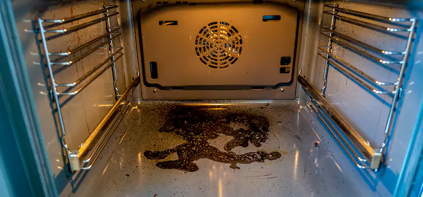 Our Dryer Vent Mold Cleaning Services in Bountiful, UT