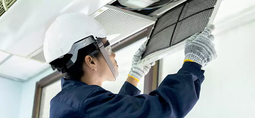 Our Mold & Mildew Removal from Air Ducts Services in Bountiful, UT