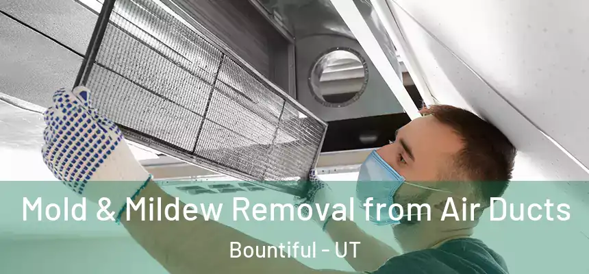  Mold & Mildew Removal from Air Ducts Bountiful - UT