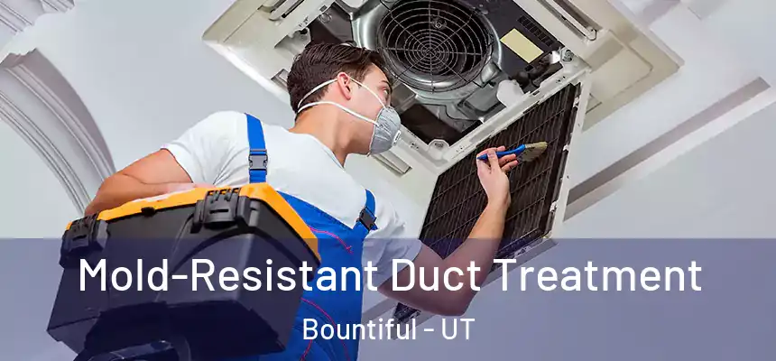  Mold-Resistant Duct Treatment Bountiful - UT