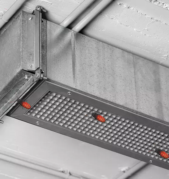 About Air Duct Cockroach Removal in Bountiful, UT