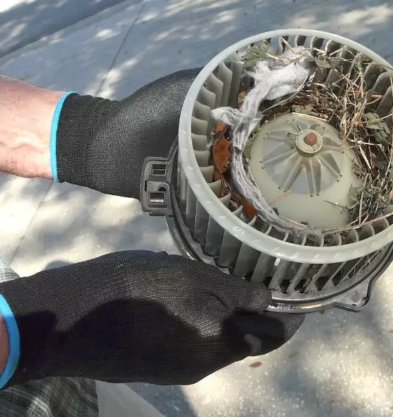 About Air Duct Mice Removal in Bountiful, UT