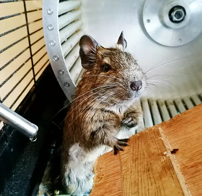 Why Homeowners & Businesses Trust Us Bountiful, UT?